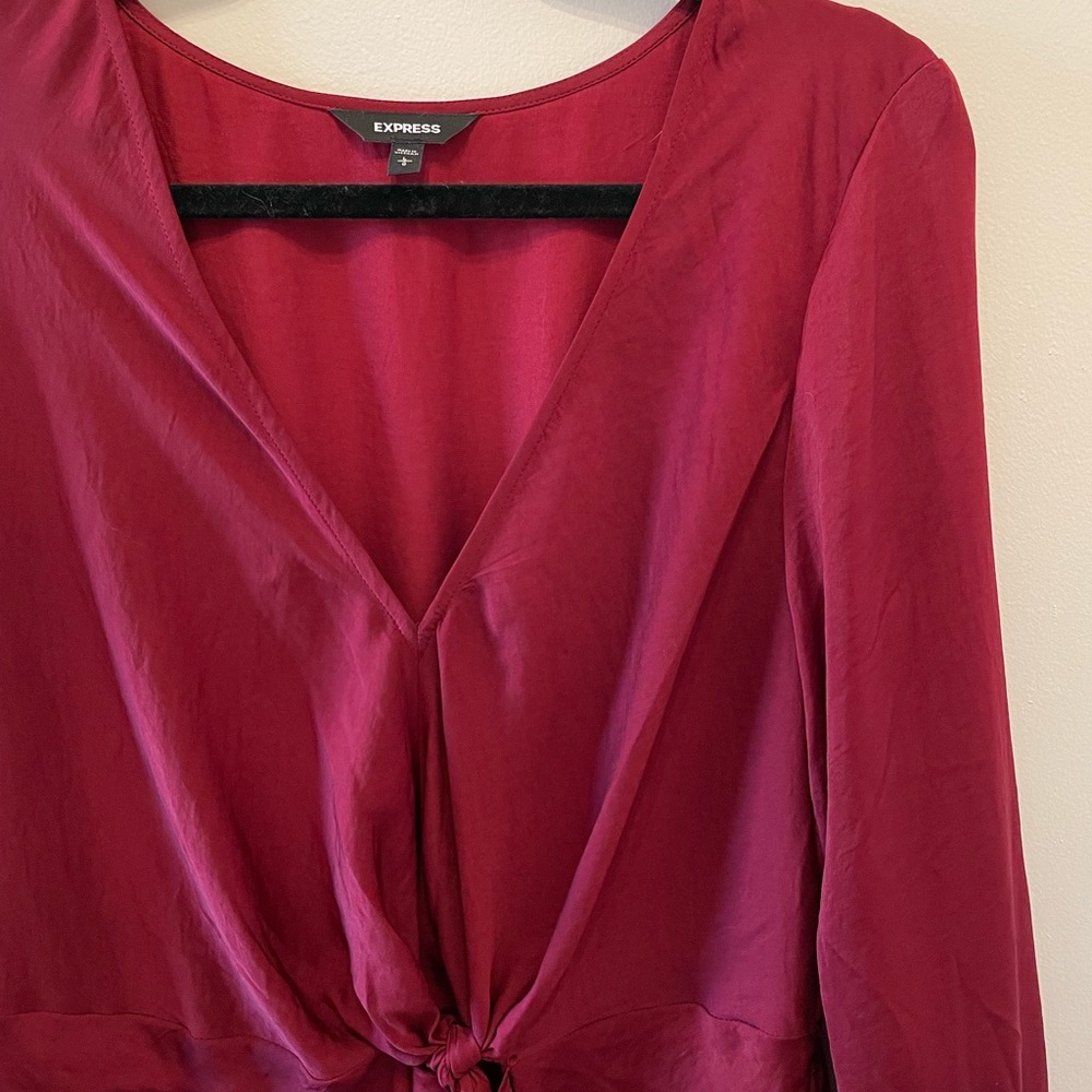 Express Dress - Picture 3 of 4